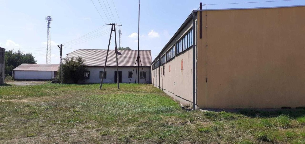 Hala/magazyn Bieżuń, ul. Borek. Zdjęcie 7