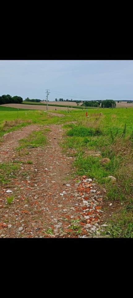 Działka budowlana Stolno. Zdjęcie 6