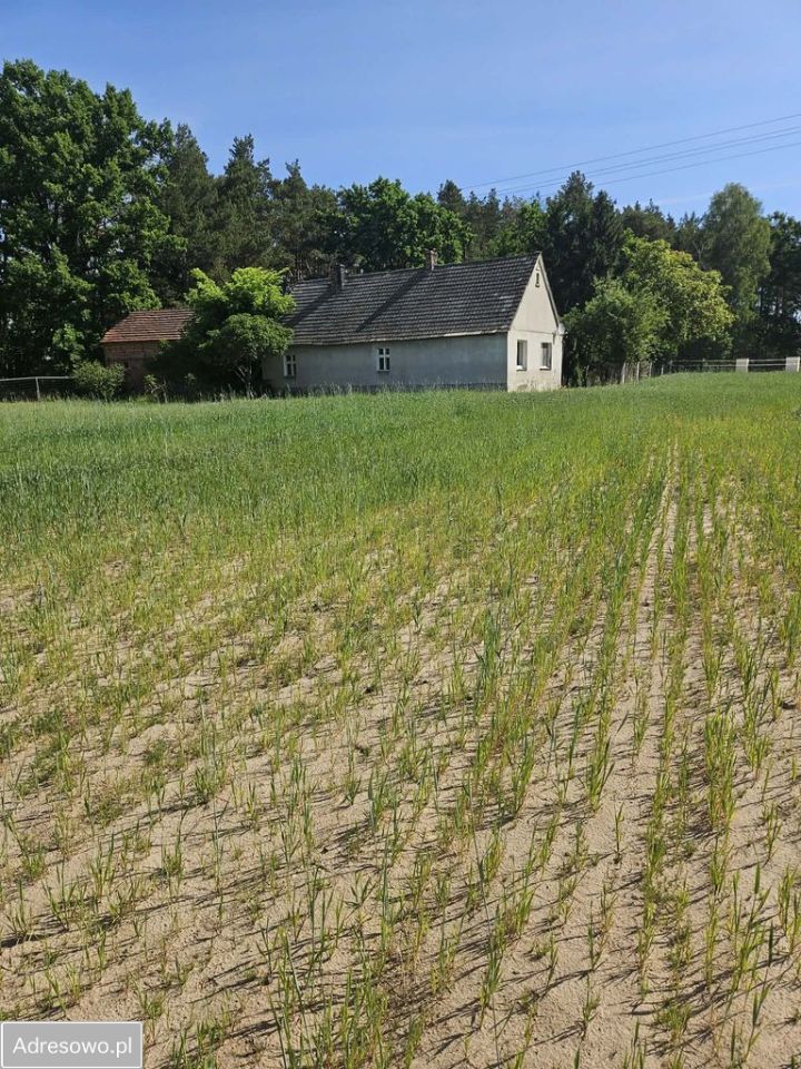 gospodarstwo, 4 pokoje Strzyżewo. Zdjęcie 3