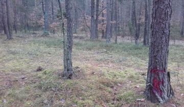 Działka leśna Pradła