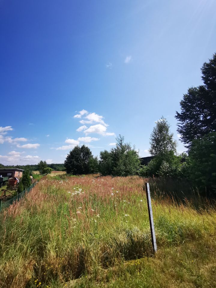 Działka rolno-budowlana Gozdnica, ul. Witosa. Zdjęcie 16