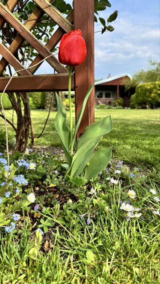 Działka rod Grudziądz. Zdjęcie 5