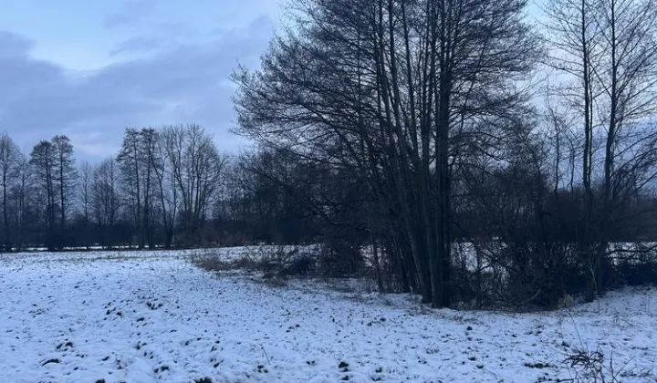 Działka budowlana Górsk