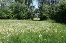 Działka rolno-budowlana Jezioro. Zdjęcie 4