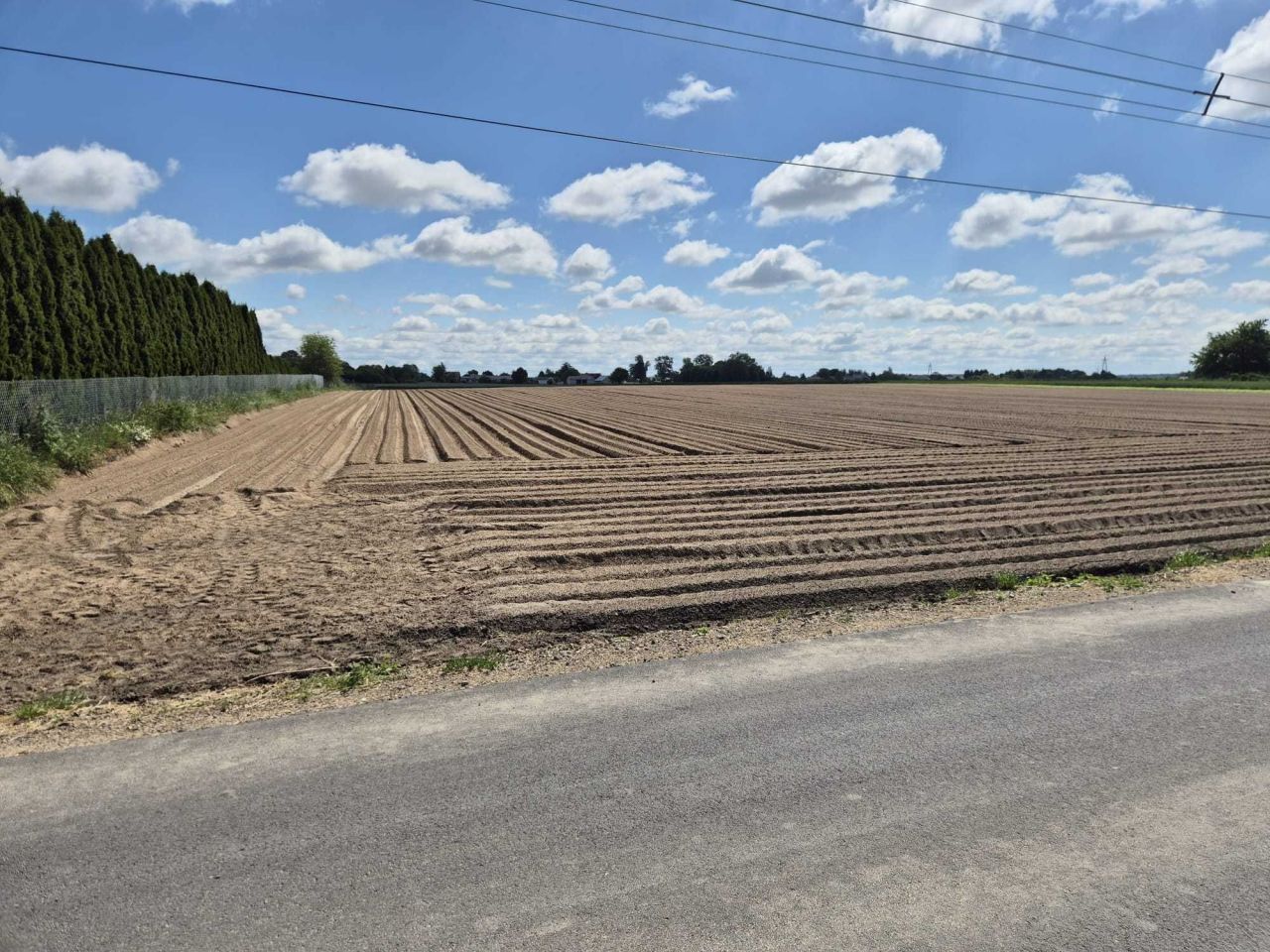 Działka siedliskowa Poniatowa-Kolonia. Zdjęcie 7