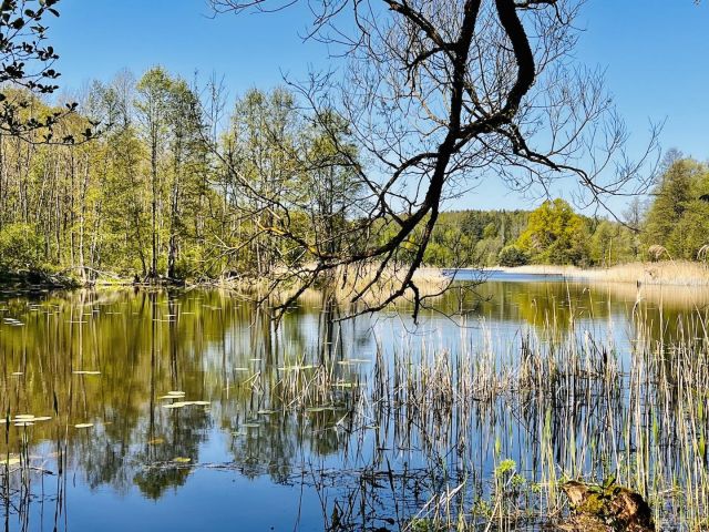 Działka budowlana Włodowo. Zdjęcie 1