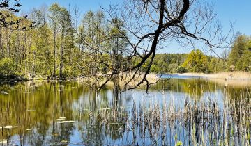 Działka budowlana Włodowo