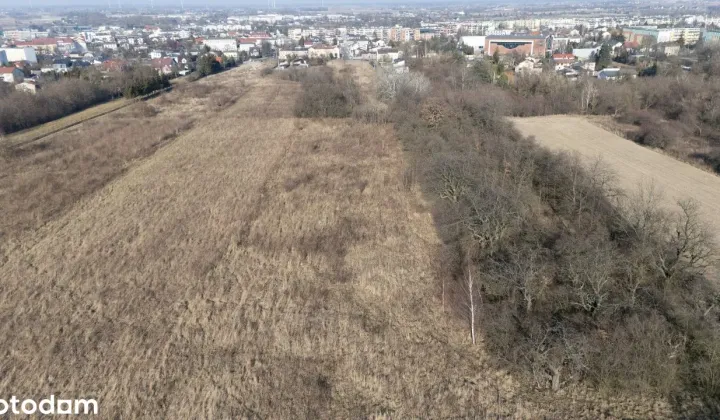Działka budowlana Wieluń, ul. Częstochowska