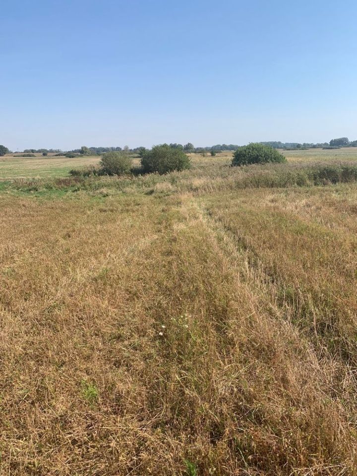 Działka rolna Głazów. Zdjęcie 8