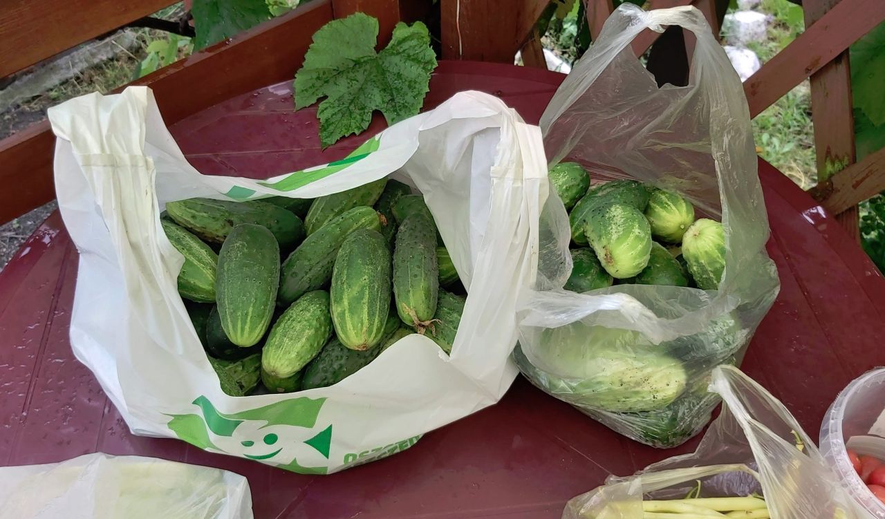 Działka rod Gdańsk Nowy Port, ul. Marynarki Polskiej. Zdjęcie 10