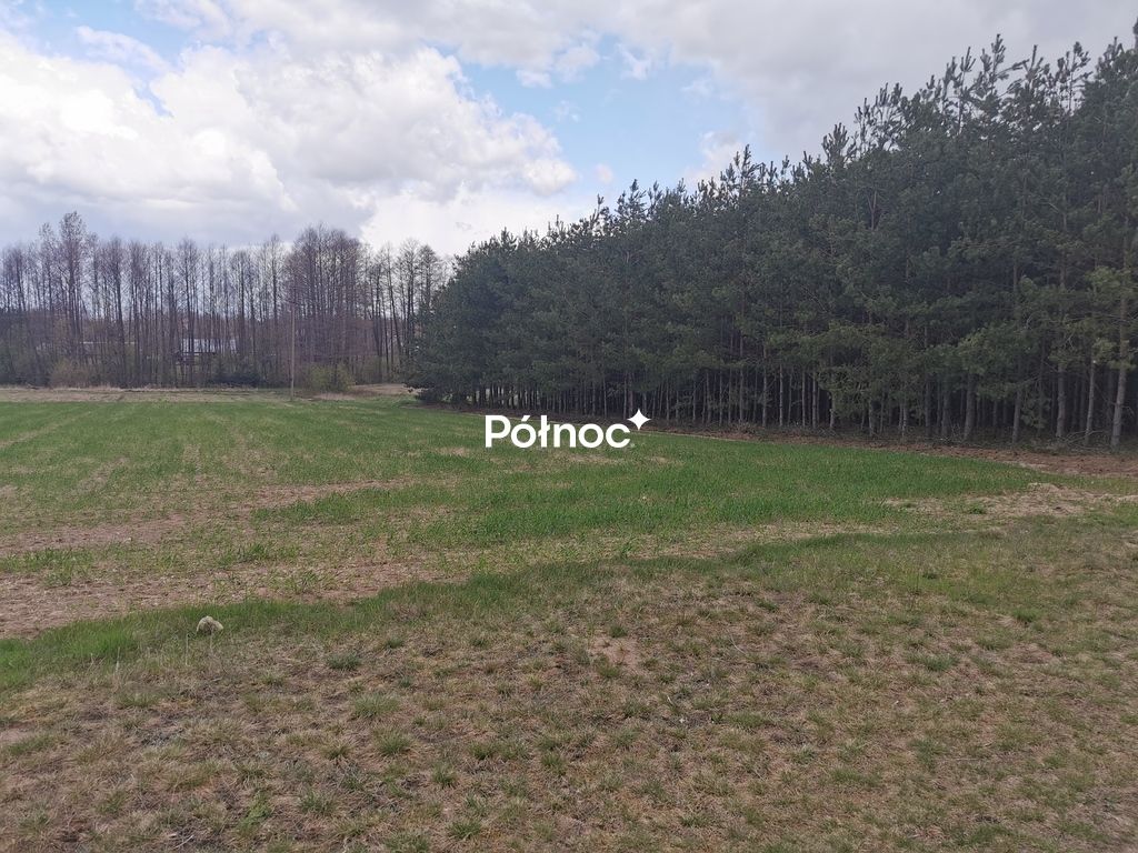 Działka rolna Grabowiec. Zdjęcie 10