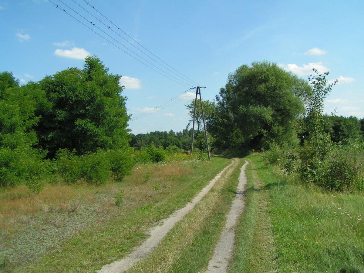 Działka budowlana Bujniczki-Kolonia Kopanina. Zdjęcie 7