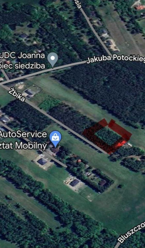 Działka leśna Budy-Grzybek. Zdjęcie 6