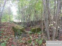 Działka siedliskowa Skolity. Zdjęcie 2