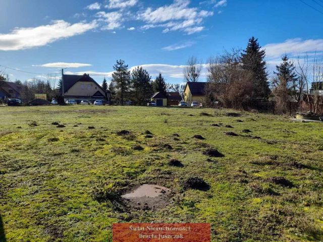 Hala/magazyn Lizawice. Zdjęcie 5