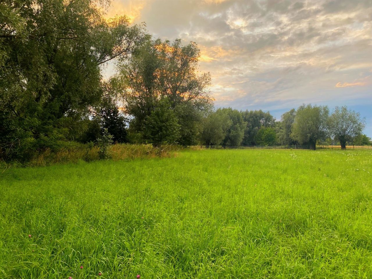 Działka budowlana Cząstków Mazowiecki. Zdjęcie 2