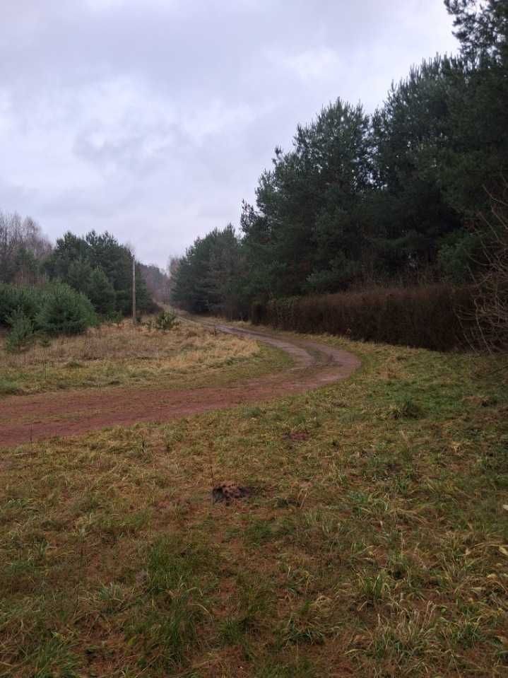 Działka budowlana Kranów