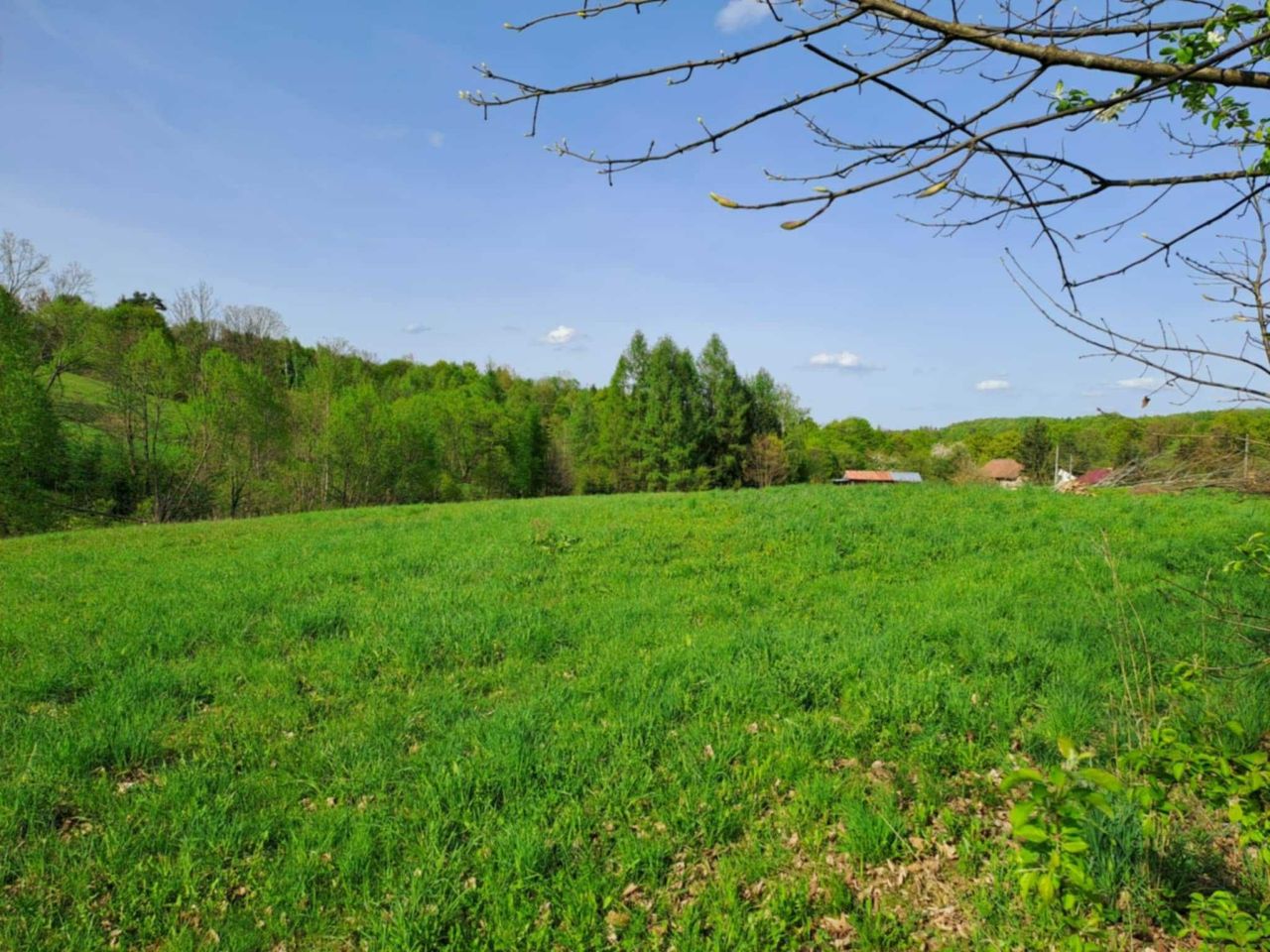 Działka budowlana Myczków. Zdjęcie 1