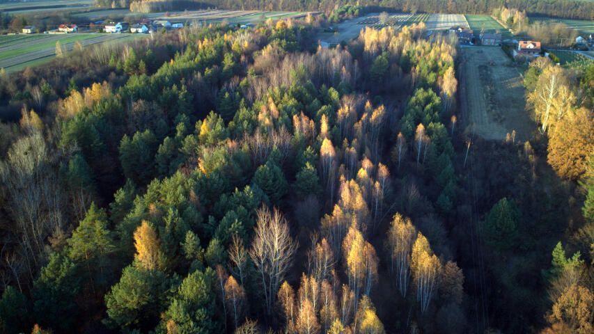 siedlisko Krzywie. Zdjęcie 13