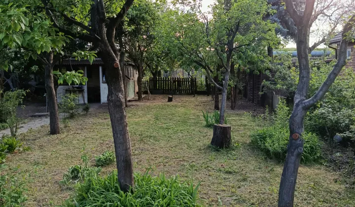 Działka rod Warszawa Praga-Północ, Jagiellońska 61a