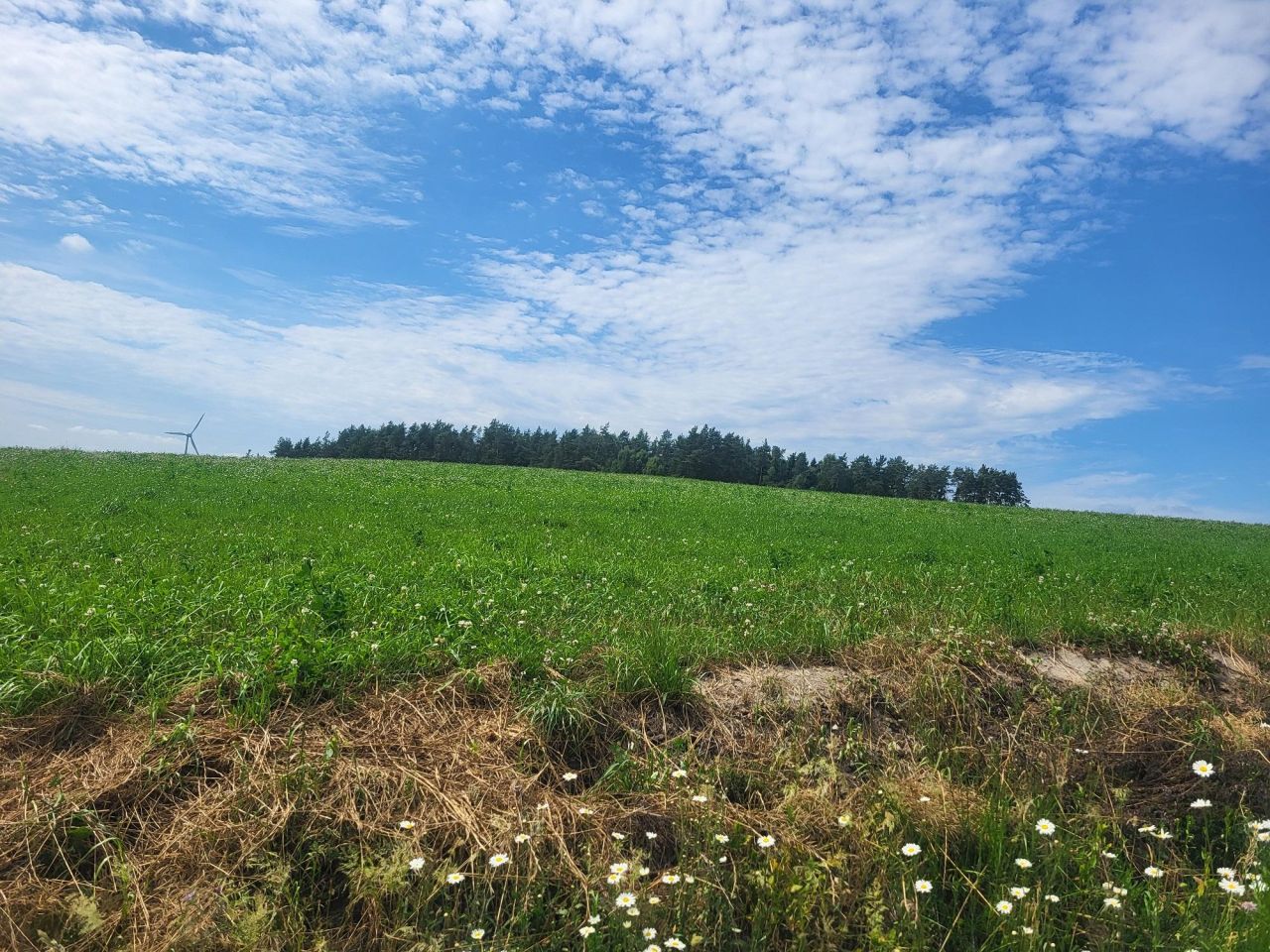 Działka budowlana Pobłocie, ul. Złota Góra. Zdjęcie 2
