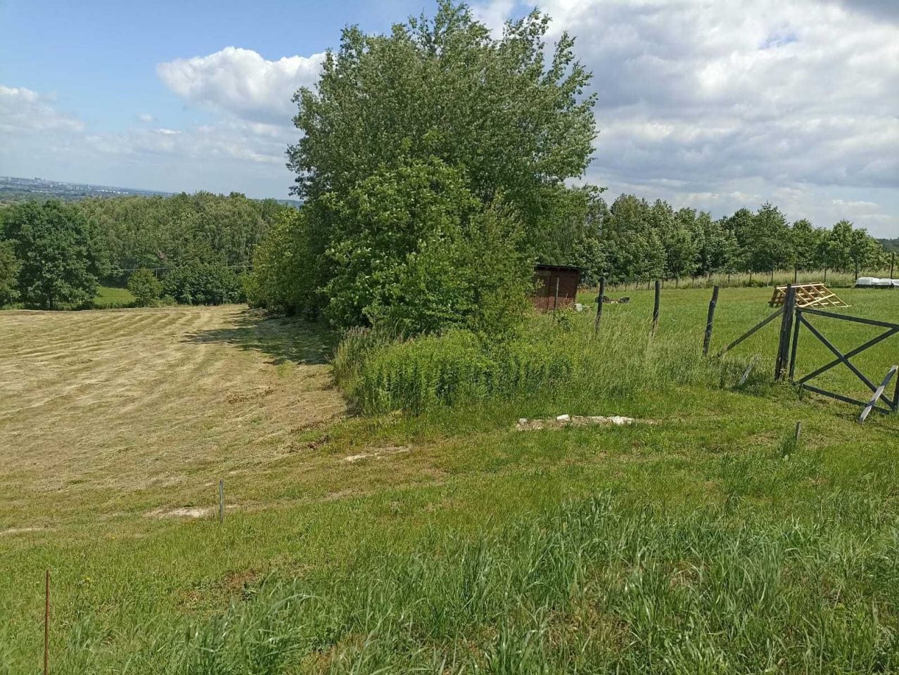 Działka rolno-budowlana Siedliska. Zdjęcie 3