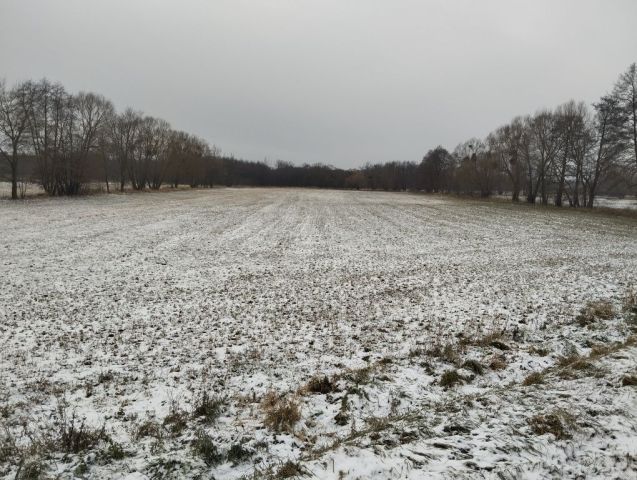 Działka rolna Murzynowo Leśne, ul. Mostowa. Zdjęcie 1