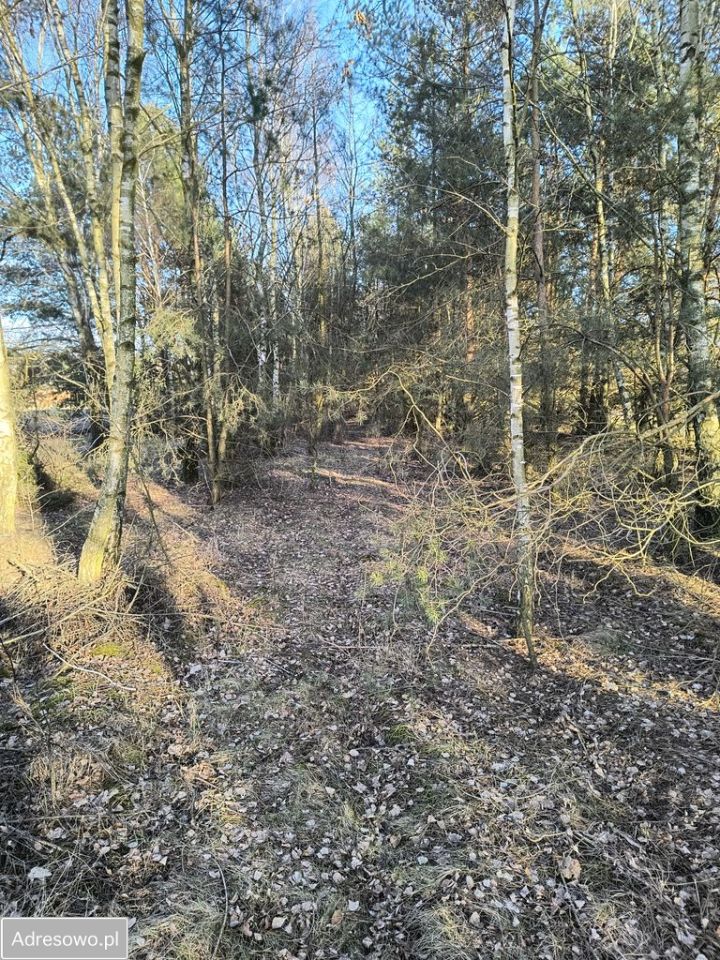 Działka budowlana Wysieradz. Zdjęcie 5