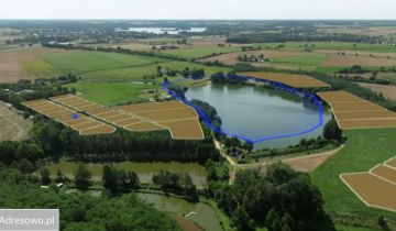 dom wolnostojący, 5 pokoi Chrzypsko Wielkie, ul. Rolna