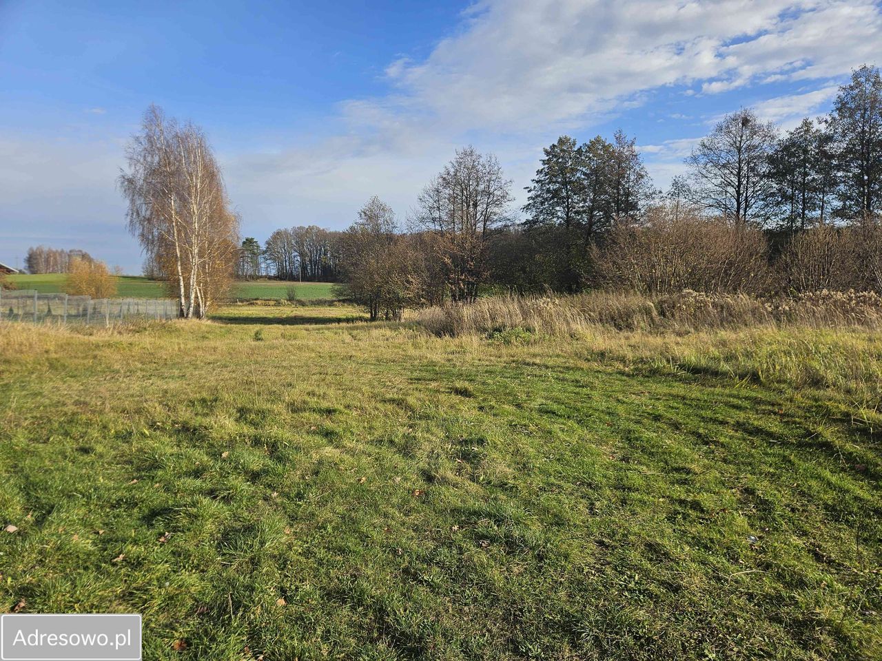 Działka rolno-budowlana Królewska Wola. Zdjęcie 6