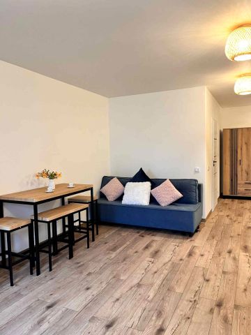 Mieszkanie 1-pokojowe Łódź Polesie, ul. prof. Bohdana Stefanowskiego. Zdjęcie 1