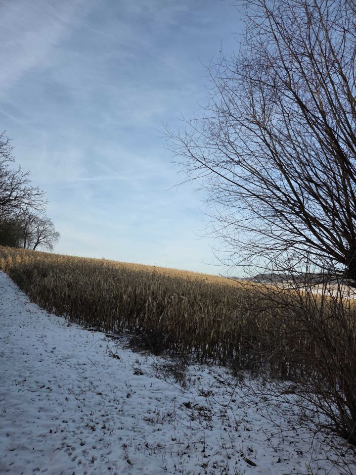 Działka rolno-budowlana Rawałowice. Zdjęcie 5