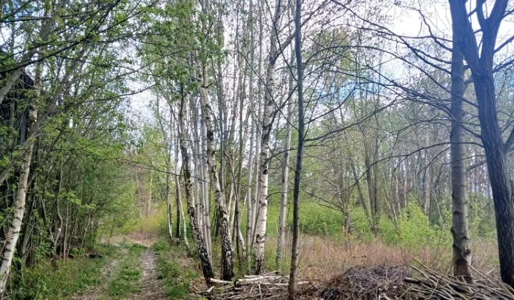 Działka budowlana Góra Kalwaria Marianki, ul. Walewicka