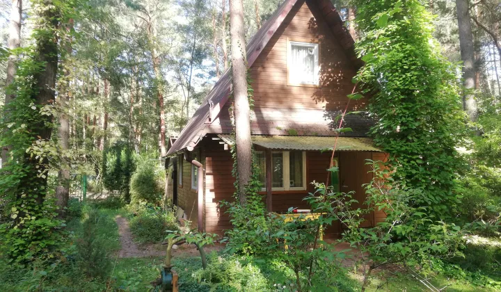 Działka rekreacyjna Beniaminów, ul. Letniskowa