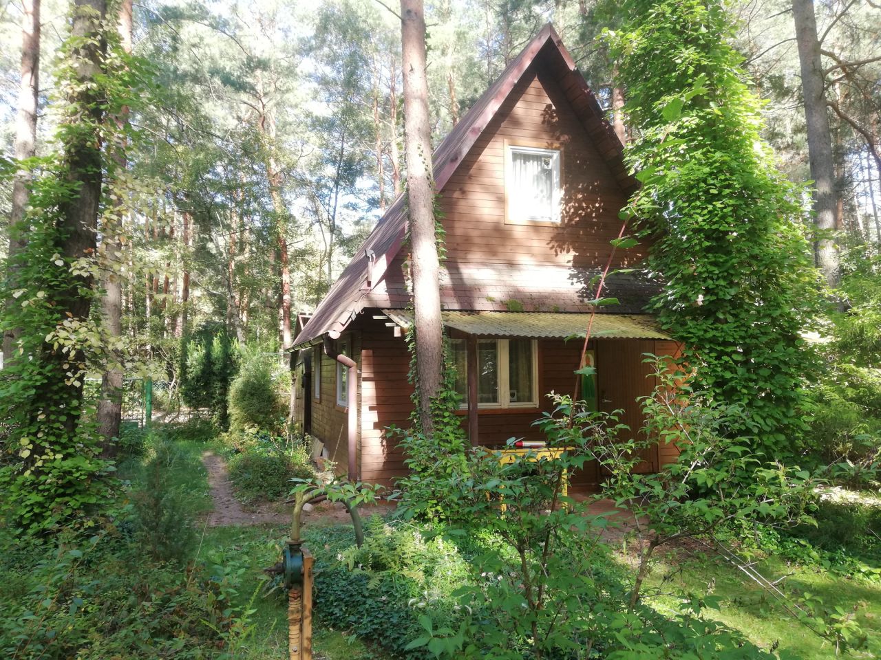 Działka rekreacyjna Beniaminów, ul. Letniskowa. Zdjęcie 1