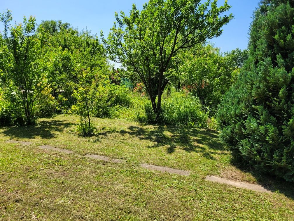 Działka rod Legnica. Zdjęcie 7