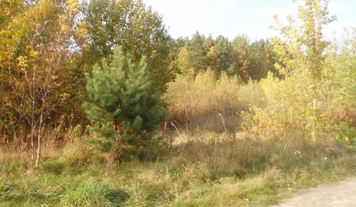 Działka budowlana Nuna