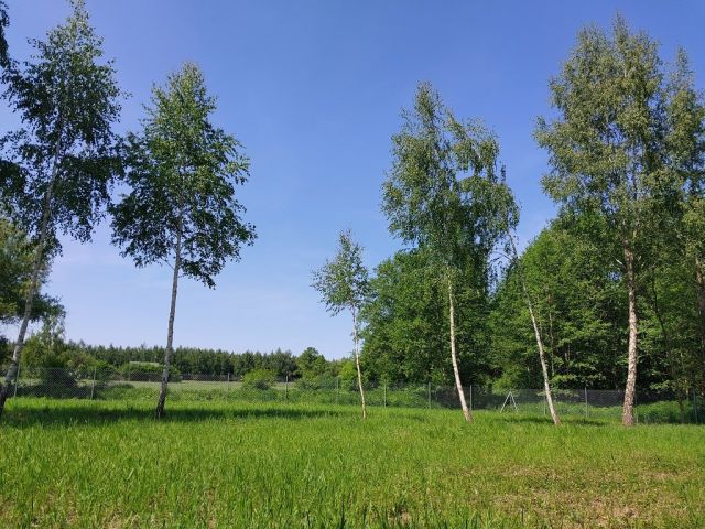 Działka rekreacyjna Ługowiska. Zdjęcie 1