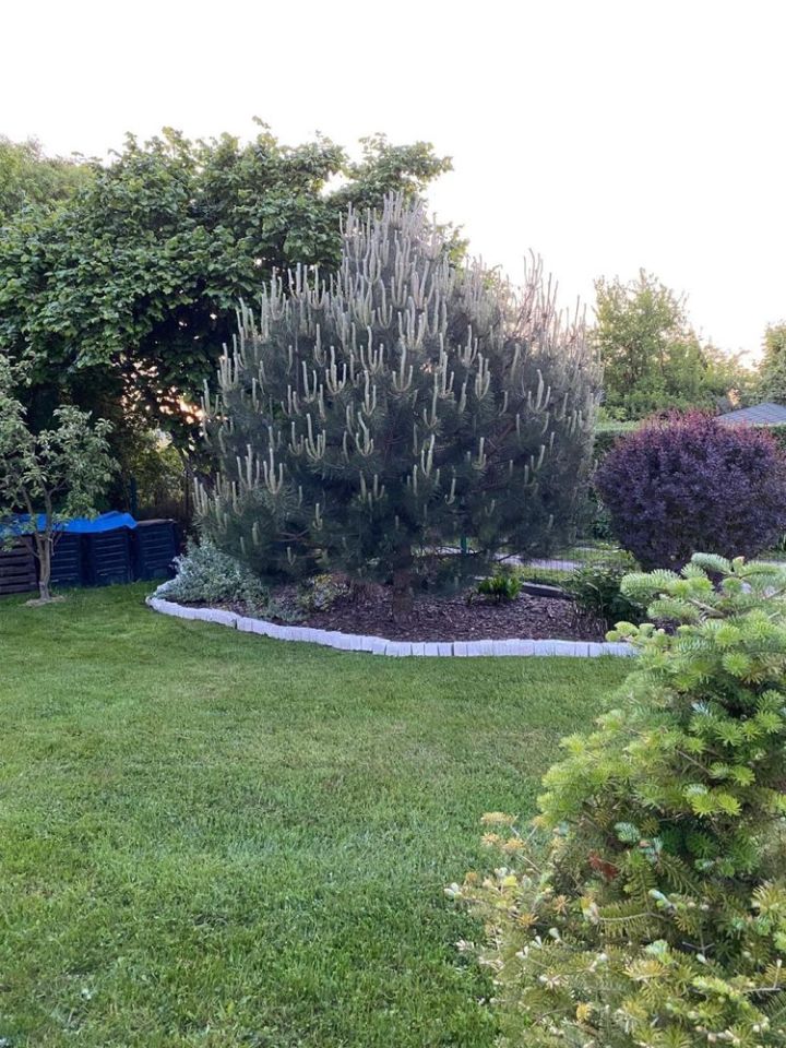 Działka rod Świnoujście. Zdjęcie 7