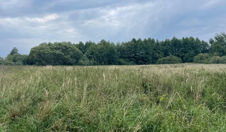 Działka rolna Gołańcz Pomorska