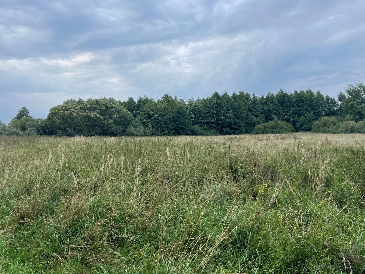 Działka rolna Gołańcz Pomorska