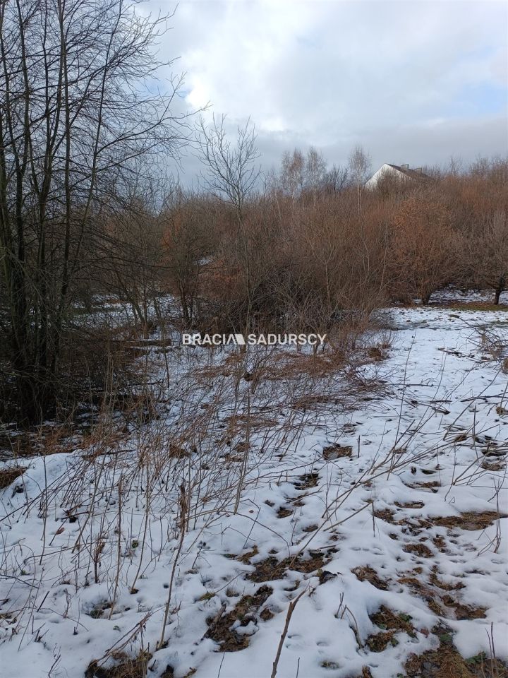 Działka inwestycyjna Czarnochowice. Zdjęcie 2