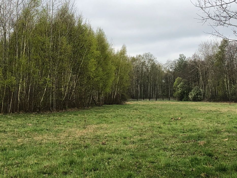 Działka budowlana Budy Michałowskie. Zdjęcie 5