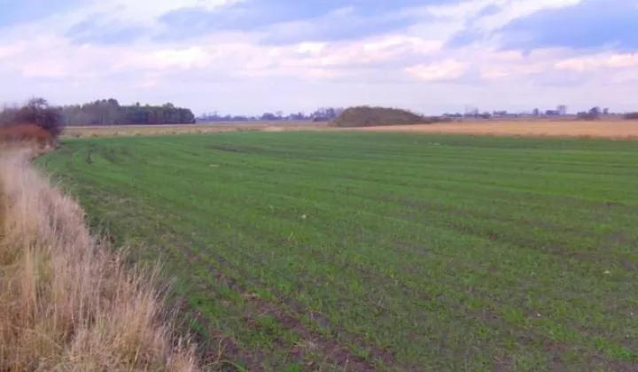 Działka inwestycyjna Wiskitki