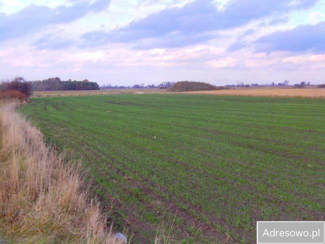 Działka inwestycyjna Wiskitki