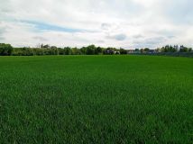 Działka budowlana Lipno. Zdjęcie 1