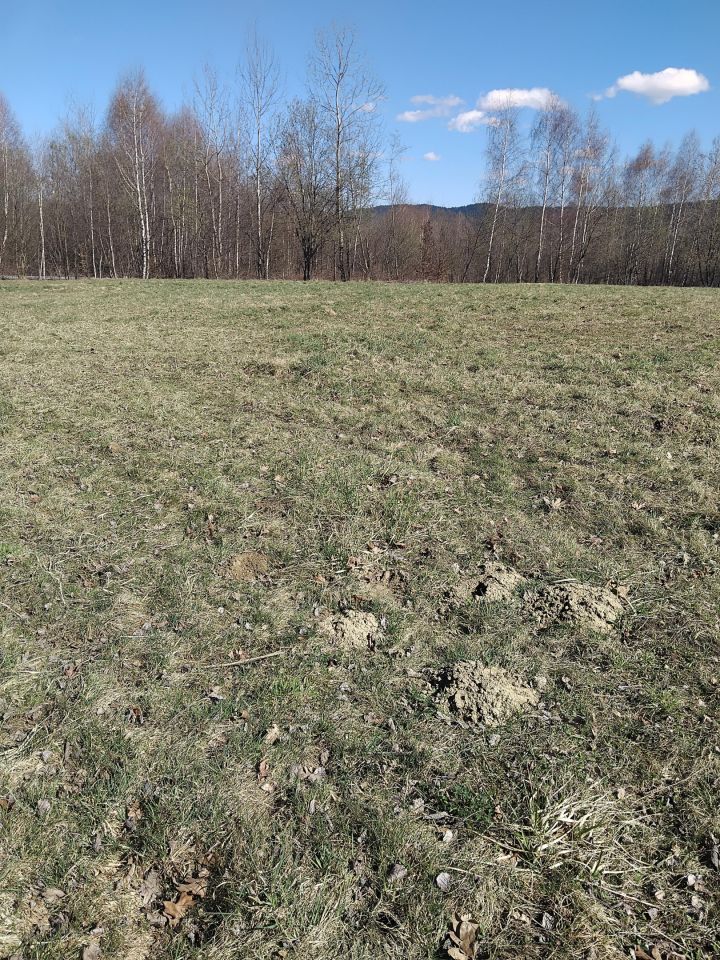 Działka rolna Gilowice Stary Dwór, ul. Działy Dworskie. Zdjęcie 5