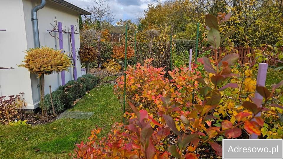 Działka rod Radom Wośniki, ul. Hodowlana. Zdjęcie 3