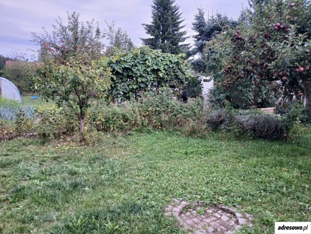Działka rod Lubin. Zdjęcie 1