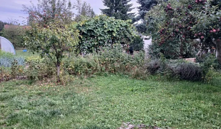 Działka rod Lubin